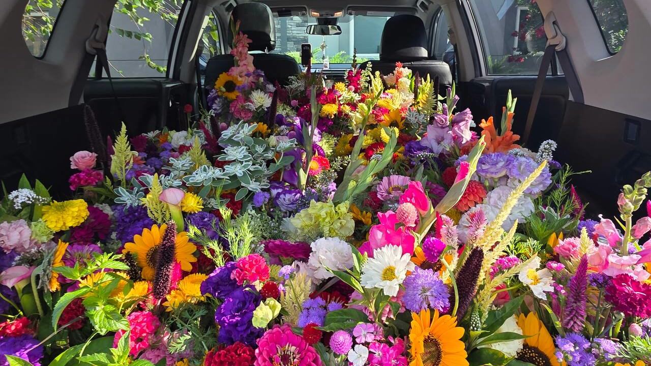 The back of an SUV filled wall to wall with freshly cut flowers, including sunflowers, zinnias, daisies and gladiolus.