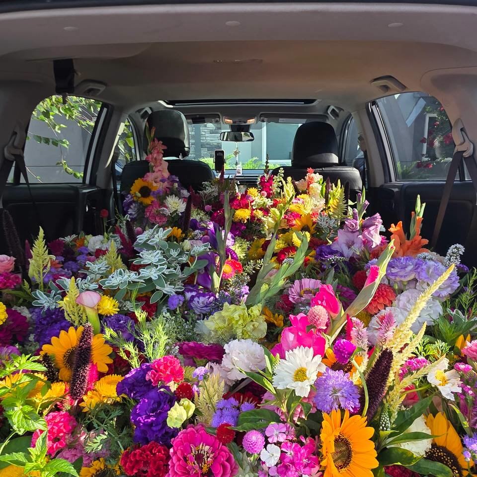 The cargo area of an SUV packed wall to wall with cut flowers in every color.